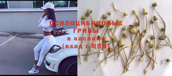 таблы Алексеевка