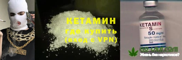 прущие грибы Гусев