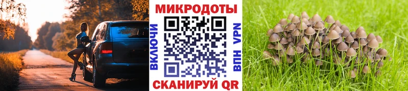 Псилоцибиновые грибы Psilocybine cubensis  Нелидово 